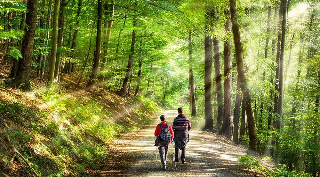 Arquata Scrivia - Il "Cammino dei Ribelli" è un successo: 500 escursionisti in meno di tre mesi