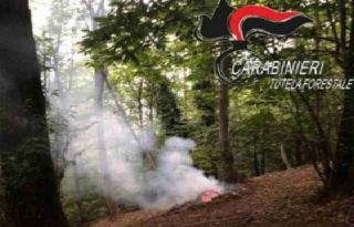 Mongrando - Incendio doloso: identificato un agricoltore dai Carabinieri Forestali