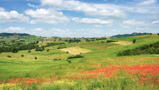 Alessandria - Agricoltura in crisi: chiudono aziende e i prezzi non coprono i costi