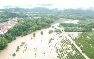 Alluvione in provincia di Alessandria: Coldiretti denuncia danni per milioni all’agricoltura